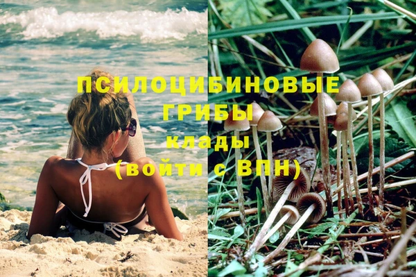 прущие крисы Абаза