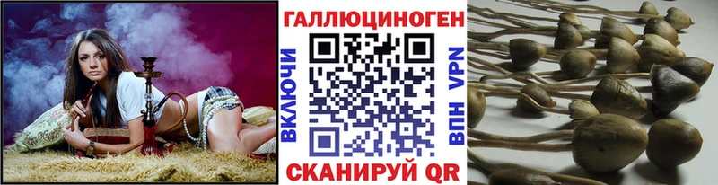 Галлюциногенные грибы Psilocybe  кракен ТОР  Верхоянск 